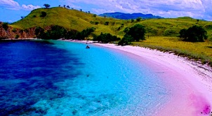 Hasil gambar untuk pantai pink pulau komodo